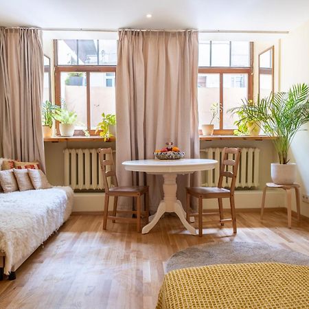 Cozy Suite With Inner Yard VNO Kültér fotó